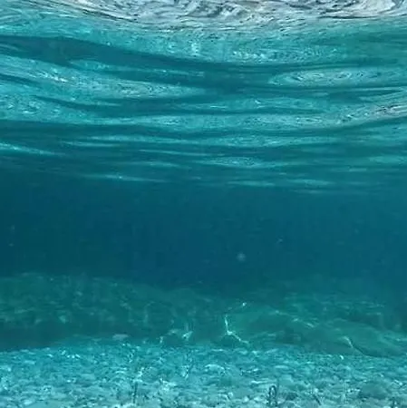 Elegantissimo Direttamente Sul Mare Le Ghiaie 6 Posti Letto
